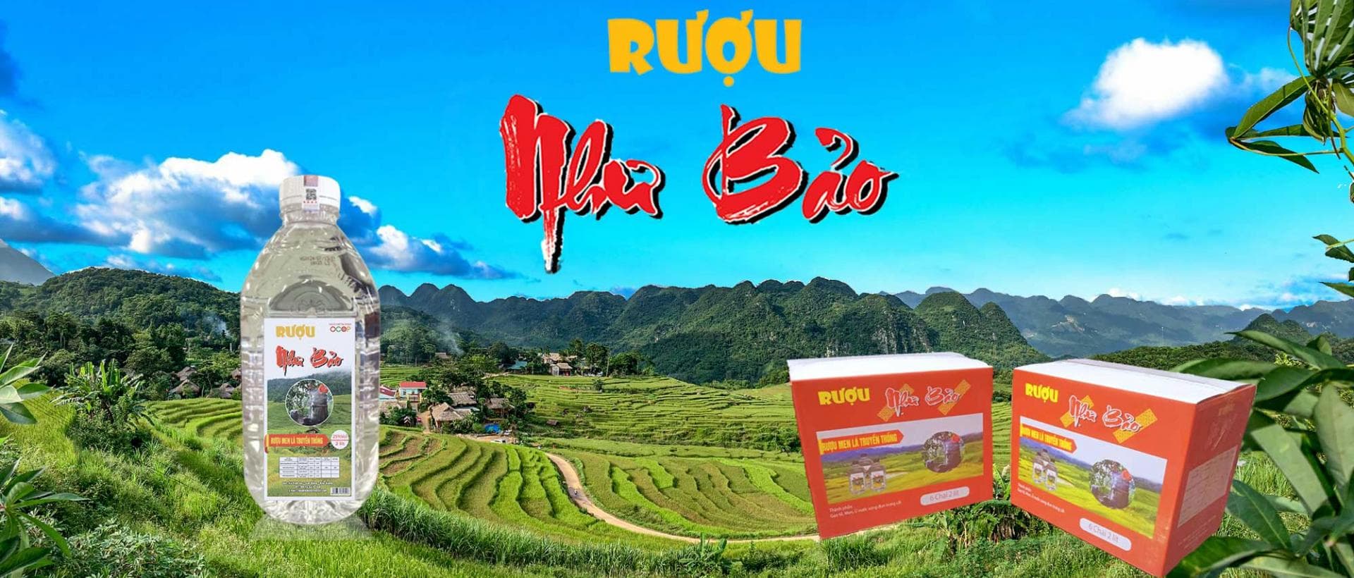 Rượu men lá Như Bảo ảnh 2