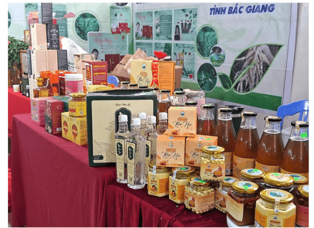 Rượu men lá Mao Sơn Tửu ảnh 4